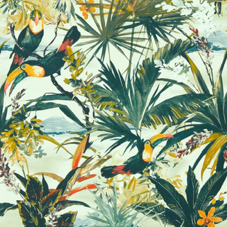 Exotica 2 - Toucan