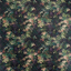 Exotica-2_Congo_F1612_01_CAC