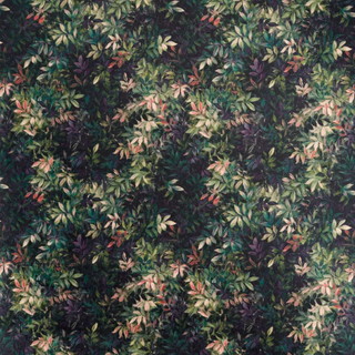 Exotica 2 - Congo