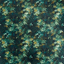 Exotica-2_Congo_F1612_03_CAC