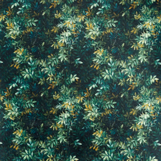 Exotica 2 - Congo