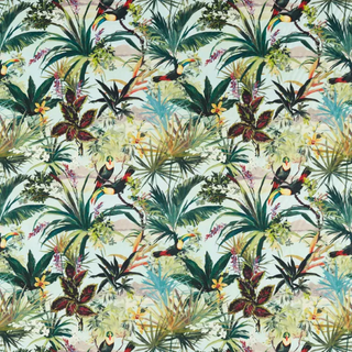 Exotica 2 - Toucan