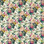 Exotica-2_Bloom_F1613_03_CAC