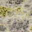 Exotica_Fiore_F1298_01_CAC