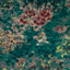 Exotica_Fiore_F1298_02_CAC