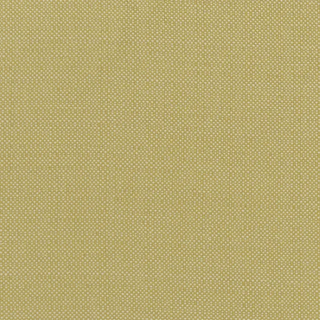 Exotica – Kauai