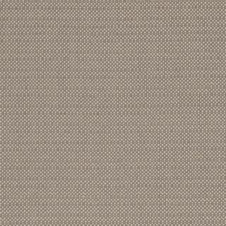 Exotica – Kauai