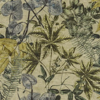 Exotica - Madagascar
