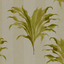 Exotica_Palma_F1303_02_CAC
