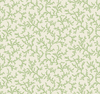 French Country – Corail
