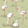 Flamingos-11038_CS