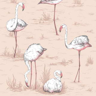 Contemporary Restyled – Flamingos