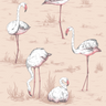 Flamingos-11039_CS