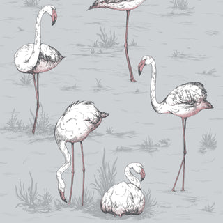 Contemporary Restyled – Flamingos