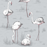 Flamingos-11040_CS