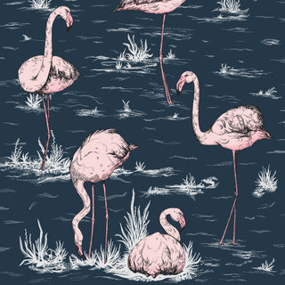 Contemporary Restyled – Flamingos