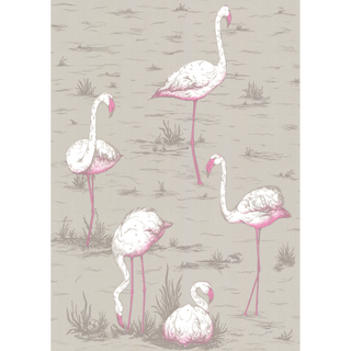 Contemporary Restyled – Flamingos