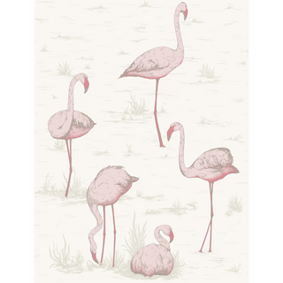 Contemporary Restyled – Flamingos