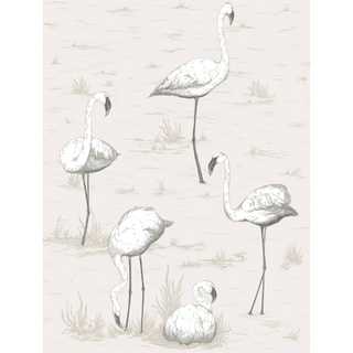 Contemporary Restyled – Flamingos