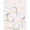 Flamingos_8046_CS