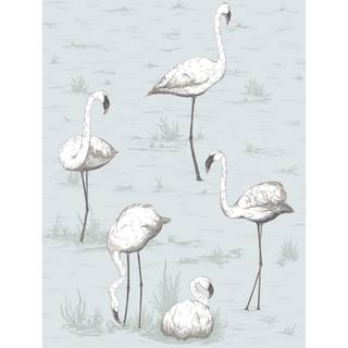 Contemporary Restyled – Flamingos