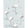 Flamingos_8047_CS