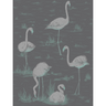 Flamingos_8048_CS