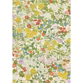 Flora Province