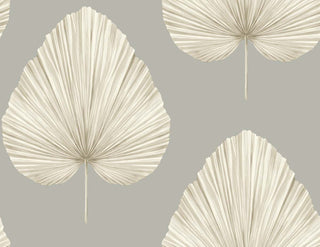 Savannah Grass -Grande Leaf