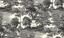 Forest-DGSAL1011-1014