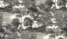 Forest-DGSAL1011-1014