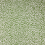 Fresh-Green-White-MOXIE_74J9411