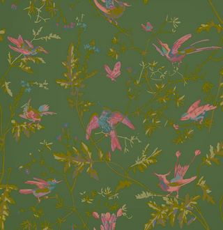 Selections of Hummingbirds - Hummingbirds