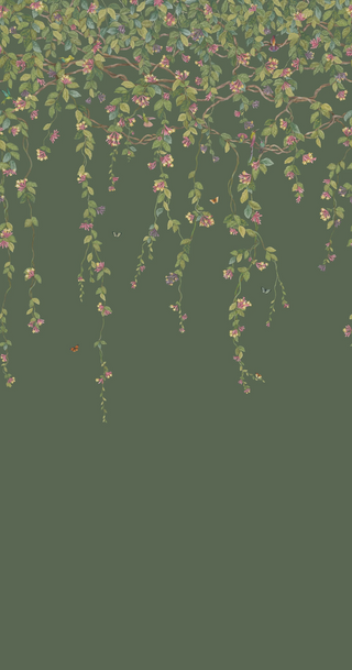 Selections of Hummingbirds – Hummingbirds Flora