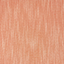 Fushia-Tangerine-White-SWIM_44J9411