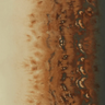 Fusion-Disperse-W0149_01_CAC