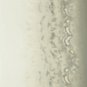 Fusion-Disperse-W0149_02_CAC
