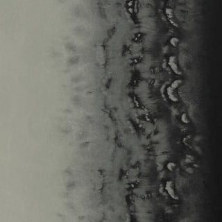 Fusion – Disperse