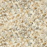 Fusion-Scintilla-W0154_02_CAC