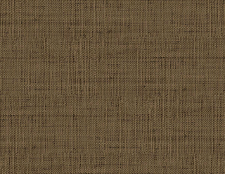 Savannah Grass -Kaya