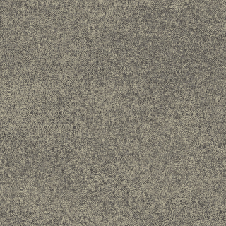 Tempest – 8207