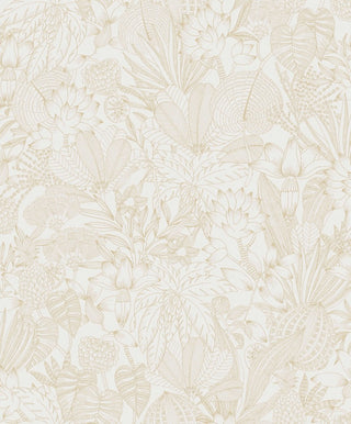 Romance - Bellis