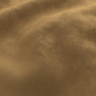 Gold-TONIC_19J9721
