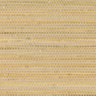 Golden-Straw-9099_16WS121
