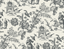 Graphite-FC61800-Chinois