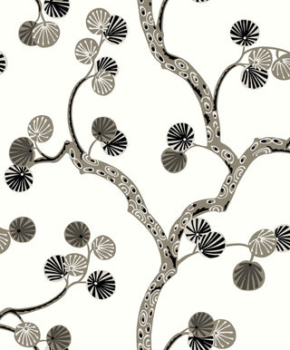 Allegra- WH41005