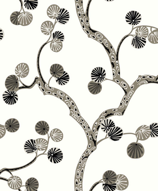 Allegra- WH41005