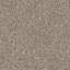 Green-Grey-SCOUT_33J9531