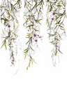 Green-Purple-Lilac-White-Rose-63452