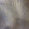 Grey-980007_17WF9231